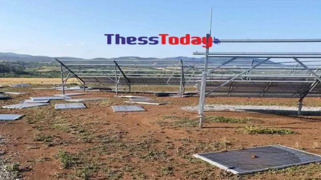 Σέρρες: Ξεριζώθηκαν ολόκληρα δέντρα στην κακοκαιρία εξπρές – Οι φωτογραφίες προκαλούν απελπισία