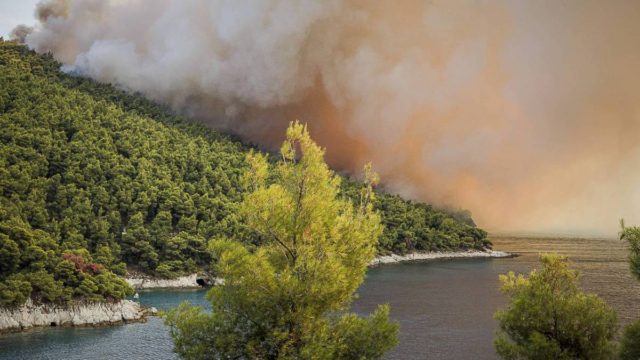 Φωτιά ξέσπασε στη Σκόπελο