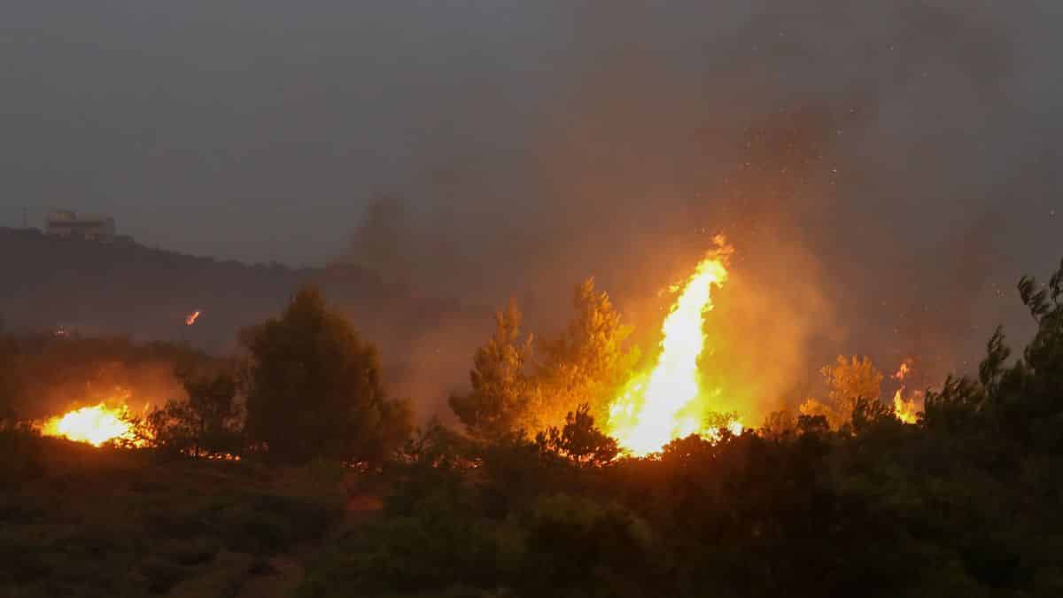 Φλέγεται η μισή Ελλάδα: Μεγάλα πύρινα μέτωπα σε Λακωνία, Αρκαδία και Φθιώτιδα
