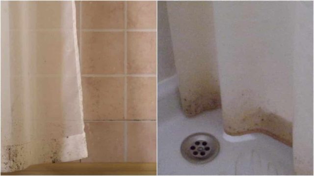 Μούχλα στις κουρτίνες μπάνιου: Αυτό είναι το κόλπο που θα σας βοηθήσει να απαλλαγείτε