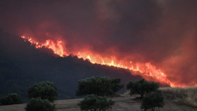 Φωτιά στα Κρέστενα Ηλείας: Αναβιώνει η εφιαλτική νύχτα του 2007 – Ολονύχτια μάχη με τις φλόγες (video)