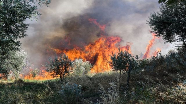 Συναγερμός στην Κορινθία – Φωτιά στο Κατακάλι