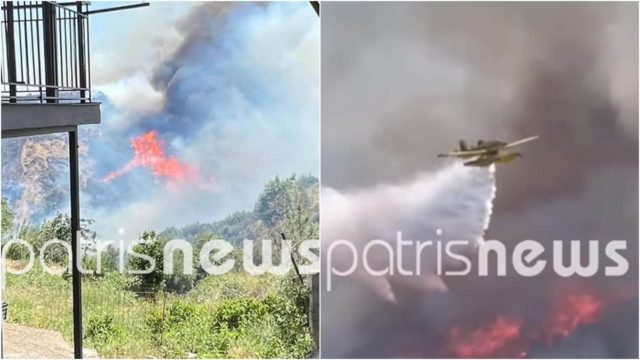 Φωτιά στην Ηλεία: Μάχη σε τρία μέτωπα – Επιχειρούν ισχυρές δυνάμεις της πυροσβεστικής (video)