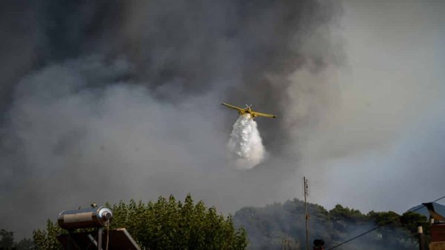 Φωτιά στη Θεσπρωτία – Η πυρκαγιά ξέσπασε στον οικισμό Σαγιάδα