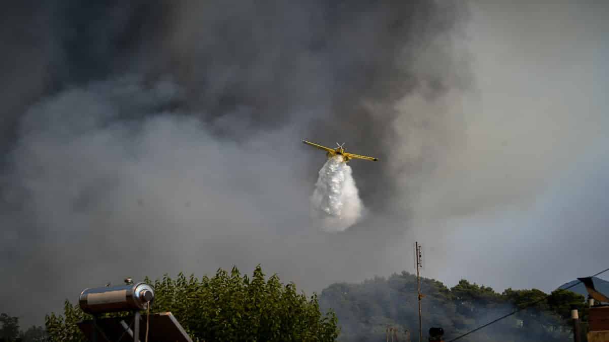 Φωτιά στη Θεσπρωτία – Η πυρκαγιά ξέσπασε στον οικισμό Σαγιάδα