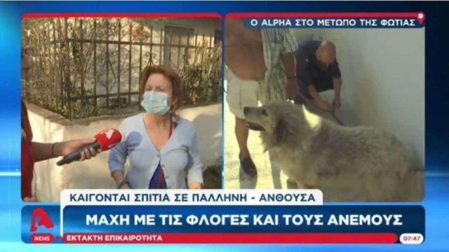 Φωτιά Πεντέλη: «Δεν ήθελε να φύγει από το σπίτι της» – Ανατριχιαστικό περιστατικό με εγκυμονούσα στον 8ο μήνα