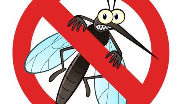 Απαλλαγείτε από το τσίμπημα των κουνουπιών με 9 βήματα – Τα σιχαίνονται