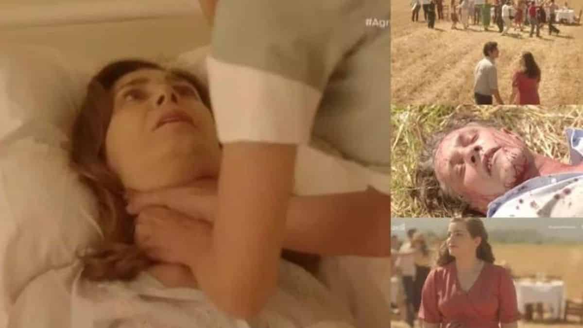 Τέλος οι Άγριες Μέλισσες: «Σε εκείνη την τελευταία ανάσα…» – Το ιδιόχειρο σημείωμα των δημιουργών για το φινάλε της σειράς