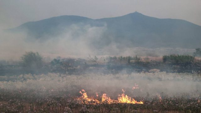 Τρόμος στον Πύργο Ηλείας: Καίγεται δασική έκταση