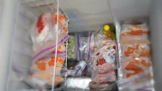 Γιατί πρέπει να βάλετε ένα κέρμα στη κατάψυξη πριν φύγετε για διακοπές