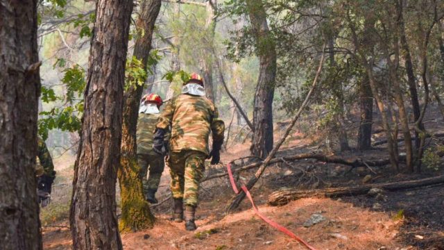 Φωτιά στον Έβρο: Δεν πλησίασαν τα σπίτια στη Δαδιά οι φλόγες – Σηκώθηκαν τα εναέρια μέσα!