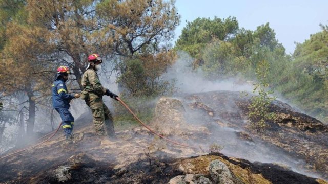 Έβρος: Ανεξέλεγκτη η φωτιά στο Εθνικό Πάρκο Δαδιάς – Συνεχείς αναζωπυρώσεις