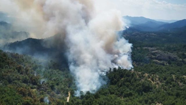 Ολονύχτια μάχη με τις φλόγες στη Δαδιά Έβρου – Δύο τα πύρινα μέτωπα