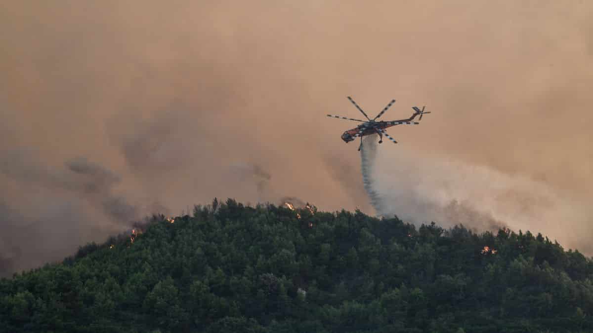 Φωτιά στη Χαλκιδική: Οι άνεμοι δυσκολεύουν το έργο της κατάσβεσης Μόλα Καλύβα Κασσάνδρας (video)