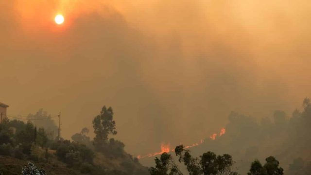 Τεράστιες εκτάσεις παίρνει πυρκαγιά στην Πεντέλη: Εντολή εκκένωσης και για την Ανθούσα!
