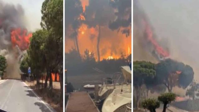 Φλέγεται η μισή Ευρώπη: Κόλαση του Δάνη σε Γαλλία, Ισπανία, Πορτογαλία, Κροατία – Εικόνες που κόβουν την ανάσα! (video)