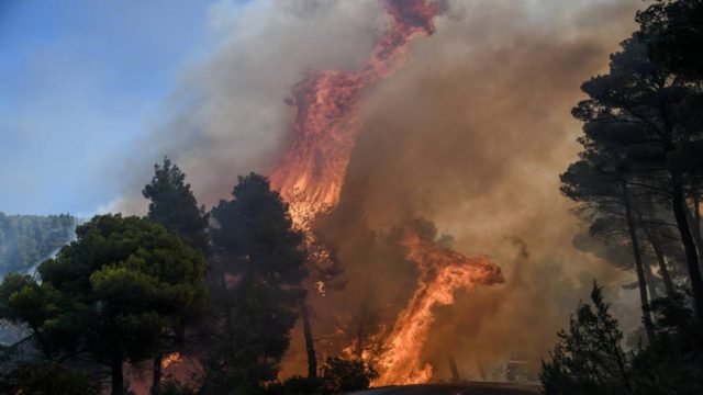 Φωτιά στον Έβρο: Οι πολύ δυνατοί άνεμοι δυσχεραίνουν την κατάσβεση – Ενισχύθηκαν οι πυροσβεστικές δυνάμεις