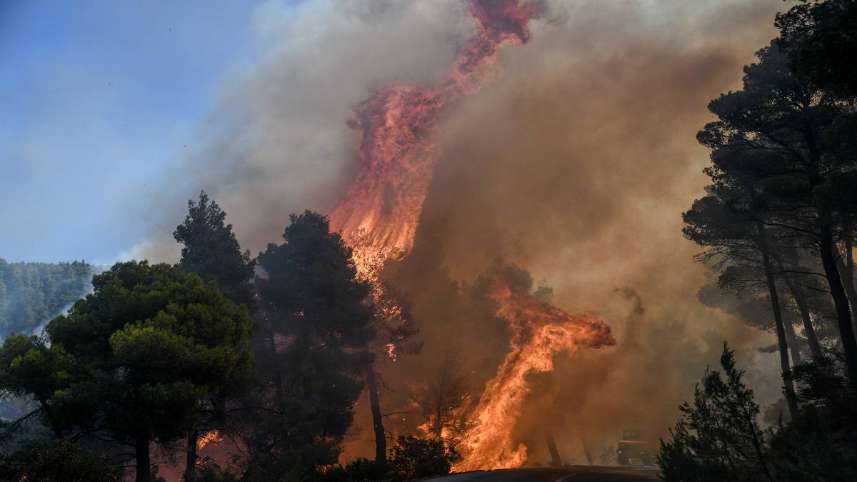 Φωτιά στον Έβρο: Οι πολύ δυνατοί άνεμοι δυσχεραίνουν την κατάσβεση – Ενισχύθηκαν οι πυροσβεστικές δυνάμεις