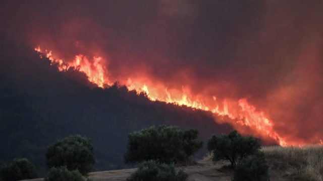Φωτιά: Σε πύρινο κλοιό όλη η χώρα – Πώς διαμορφώνονται τα μέτωπα σε Έβρο, Μυτιλήνη και Ηλεία