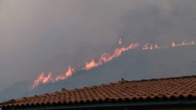 Φωτιά στην Φωκίδα: Δίπλα στην Ιτέα φτάνουν οι φλόγες – «Αυτό που συμβαίνει είναι συγκλονιστικό!»