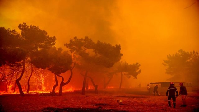 Φωτιά στην Λέσβο: Στιγμές αγωνίας σε παραλία – Απεγκλωβίστηκαν 9 άτομα με σκάφη του λιμενικού