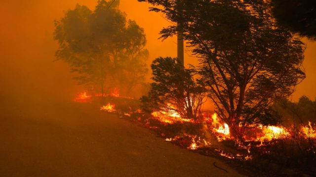 Φωτιά στην Πεντέλη – Προειδοποίηση Θοδωρή Κολυδά: Δύσκολη νύχτα με ριπές ανέμου να αγγίζουν τα 7-8 μποφόρ
