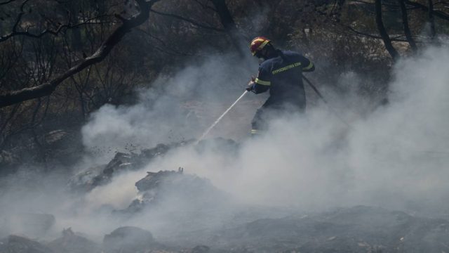 Φωτιά στον Πύργο Ηλείας: Μάχη με τις φλόγες στην Κορυφή