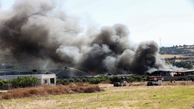 Τρομακτική πυρκαγιά στη Σαλαμίνα – Πλησιάζουν τα σπίτια οι φλόγες