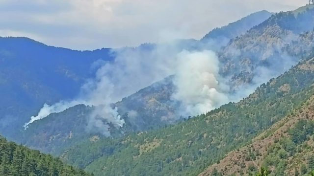 Γρεβενά: Στις φλόγες το οικοσύστημα της Βάλια Κάλντα – Νέα περιβαλλοντική καταστροφή