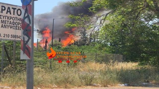Φωτιά στην Ελευσίνα – Κοντά στην εθνική οδό οι φλόγες (photo)