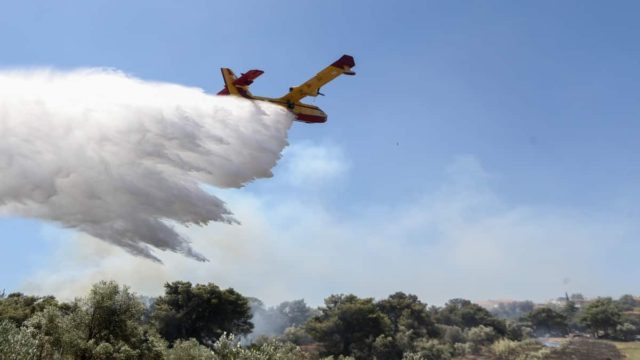 Φωτιά στον Έβρο: Μάχη για να σωθεί το δάσος της Δαδιάς – Ξεκίνησαν ρίψεις τα εναέρια μέσα (Video)
