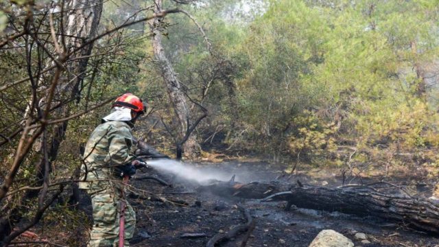 Πύρινα μέτωπα: Ξεκίνησε να βρέχει στον Έβρο! Ελπίδες ότι θα περιοριστεί η φωτιά στη Δαδιά – Βελτιωμένη η κατάσταση σε Κρέστενα και Λέσβο (Video)