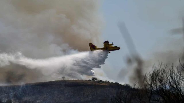 Φωτιά στην Ηλεία: Συνελήφθη κάτοικος της περιοχής για εμπρησμό – Οι περίεργες κινήσεις του