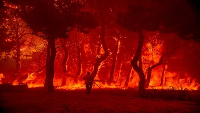 Πύρινα μέτωπα στην Ελλάδα: Συνεχίζεται η μάχη στη Δαδιά! Αναζωπύρωση στη Λέσβο & ύφεση στην Ηλεία (Video)
