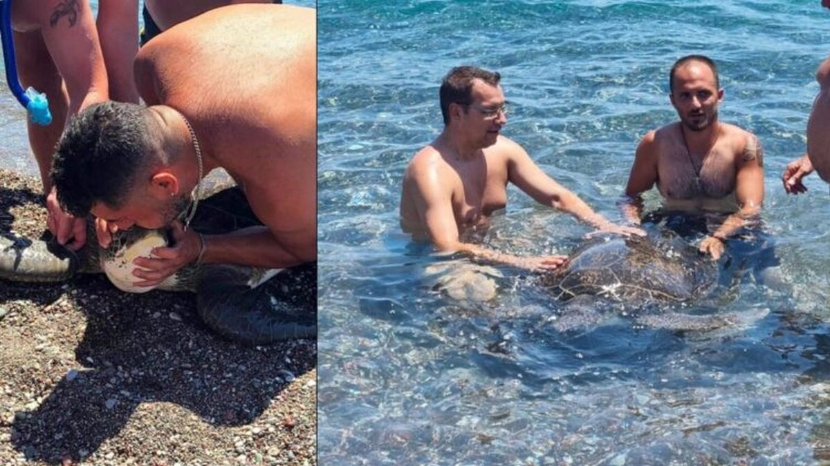 Διάσωση χελώνας στην παραλία Γενναδίου – Την γλίτωσαν απο βέβαιο θάνατο