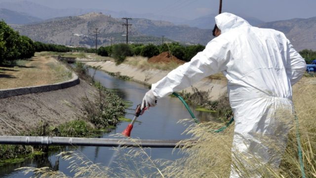 Ιός Δυτικού Νείλου: Ανιχνεύτηκε το πρώτο κρούσμα στην Ελλάδα