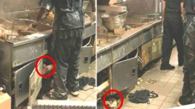Μπήκε με κρυφή κάμερα σε κουζίνα διάσημου εστιατορίου και αυτό που αντίκρισε θα σας εξοργίσει