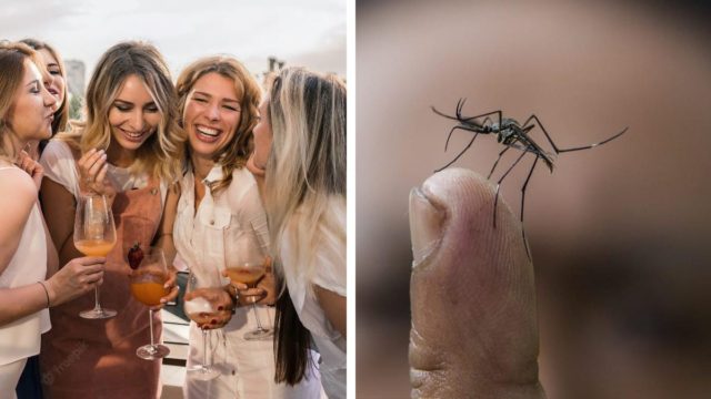 Για να μην πάνε στράφι τα όνειρά σας: Πώς να μην σας χαλάσουν τα κουνούπια το πάρτι στη βεράντα