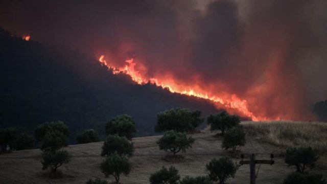 Η φωτογραφία της ημέρας: Ηλεία, ο εφιάλτης επιστρέφει…