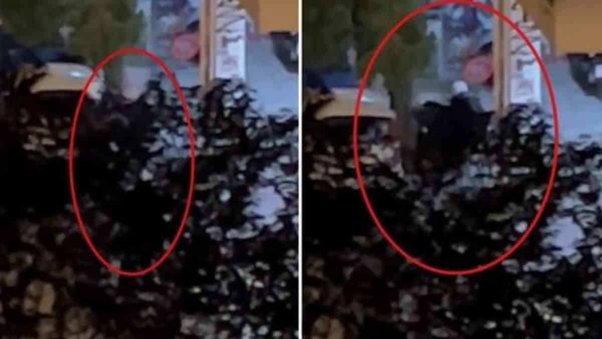 Κλωτσιές, μπουνιές και λαβές: Τρομακτικός ξυλοδαρμός νεαρού από άνδρες της ΔΙΑΣ!
