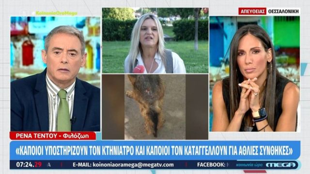 Κτηνιατρείο – «κολαστήριο» στη Θεσσαλονίκη: Ποιο είναι το ποιόν του κτηνίατρου