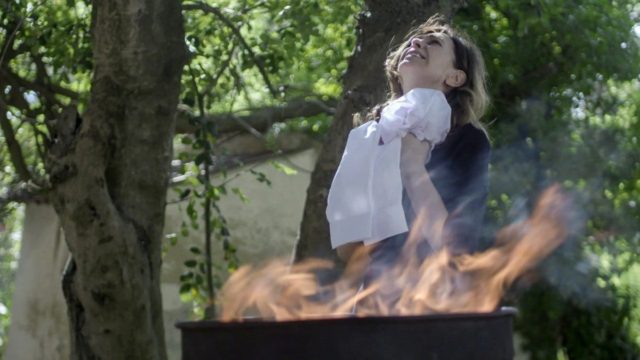 Άγριες Μέλισσες Spoiler: Σοκαριστικός επίλογος στη σειρά του ΑΝΤ1 – Το τεράστιο μυστήριο που «σφραγίζει» το μεγαλειώδες φινάλε! (video)