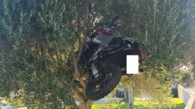 Κρήτη: Μηχανή… απογειώθηκε και «καρφώθηκε» σε δέντρο στο Λασίθι