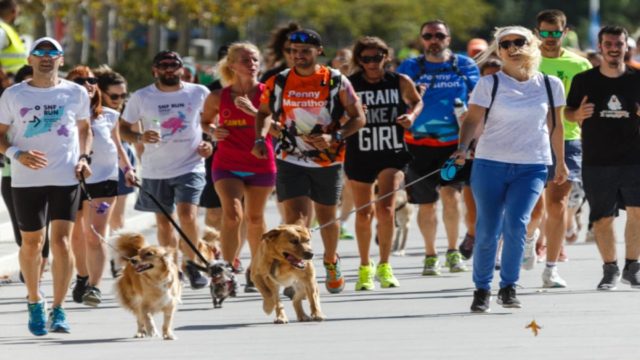 Για τέταρτη χρονιά το ΚΠΙΣΝ φιλοξενεί τα τελευταία 10 χιλιόμετρα του Penny Marathon