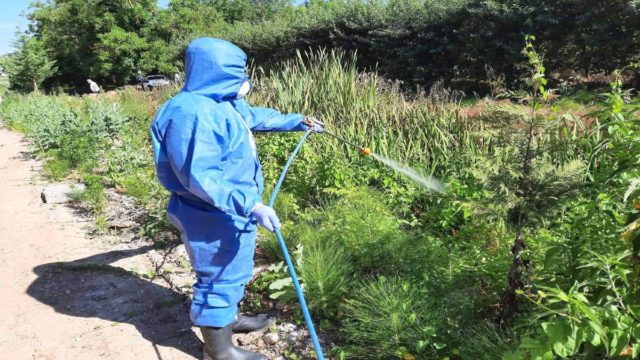 Ιός Δυτικού Νείλου: 13 κρούσματα – Έκκληση ΕΟΔΥ για μέτρα προφύλαξης από τα τσιμπήματα