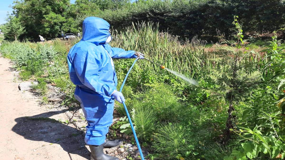 Ιός Δυτικού Νείλου: 13 κρούσματα – Έκκληση ΕΟΔΥ για μέτρα προφύλαξης από τα τσιμπήματα