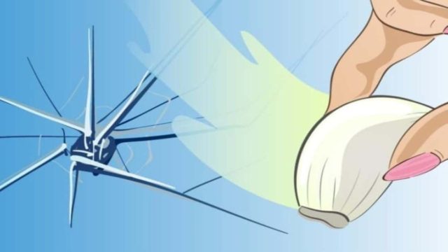 Έλιωσε σκελίδες από σκόρδο και τις έτριψε σε γυάλινο παράθυρο! Δεν φαντάζεστε τι μπορεί να γίνει!