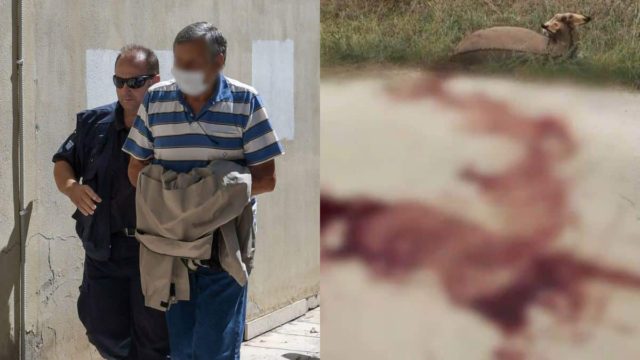 Εξελίξεις με την κτηνωδία στη Ζίτσα: Παύεται από τα καθήκοντά του ο αντιδήμαρχος που βασάνισε το γαϊδουράκι – Πειθαρχική δίωξη ζητά ο Βορίδης (video)