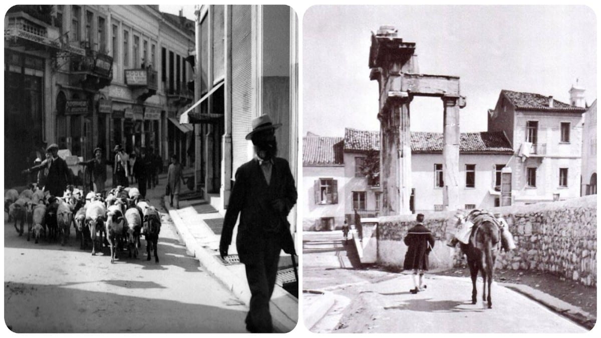 Εικόνες από το παρελθόν: Όταν η Αθήνα είχε γίδια και κατσίκια