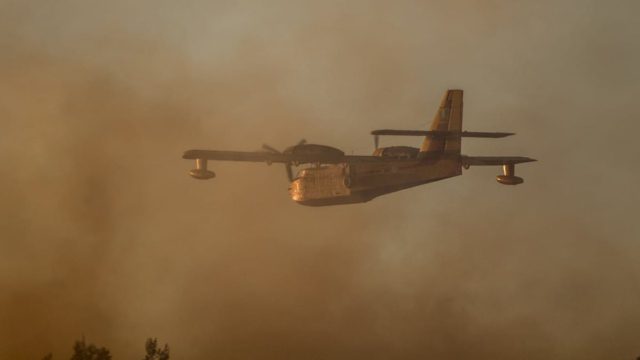 Συναγερμός στην πυροσβεστική: Ισχυρή φωτιά κατακαίει έκταση στην Λήμνο – Στη μάχη με τις φλόγες και Canadair